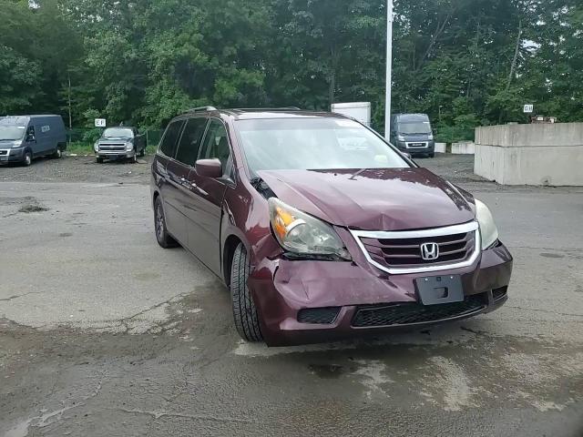 2009 Honda Odyssey Exl VIN: 5FNRL38649B055011 Lot: 64186554