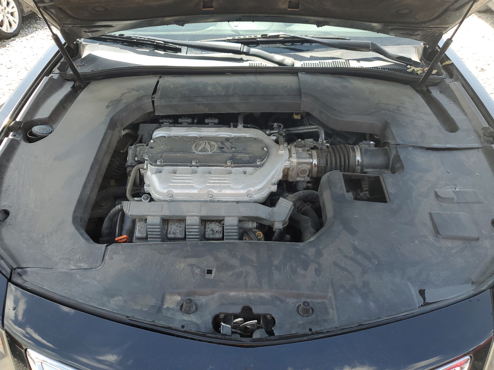 19UUA8F5XCA026010 2012 Acura Tl