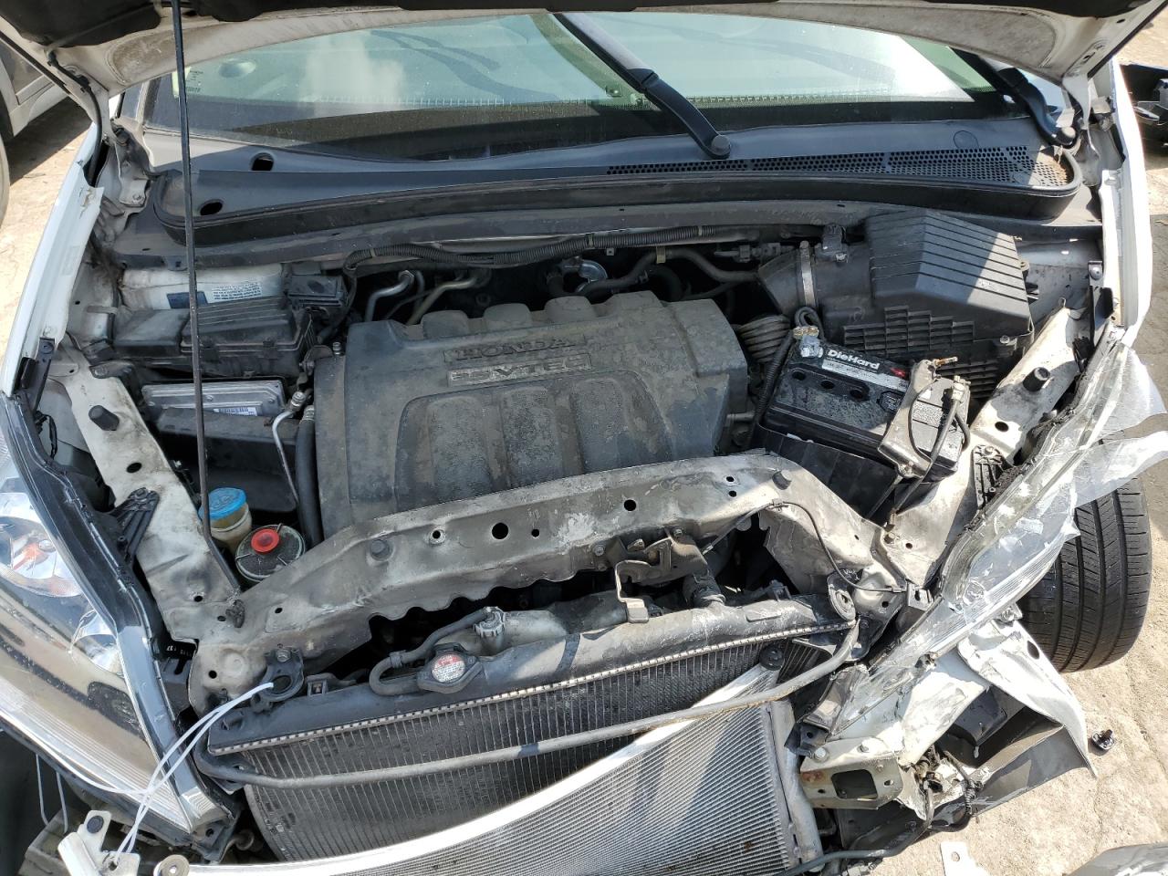 2007 Honda Odyssey Ex VIN: 5FNRL38467B421837 Lot: 62948814