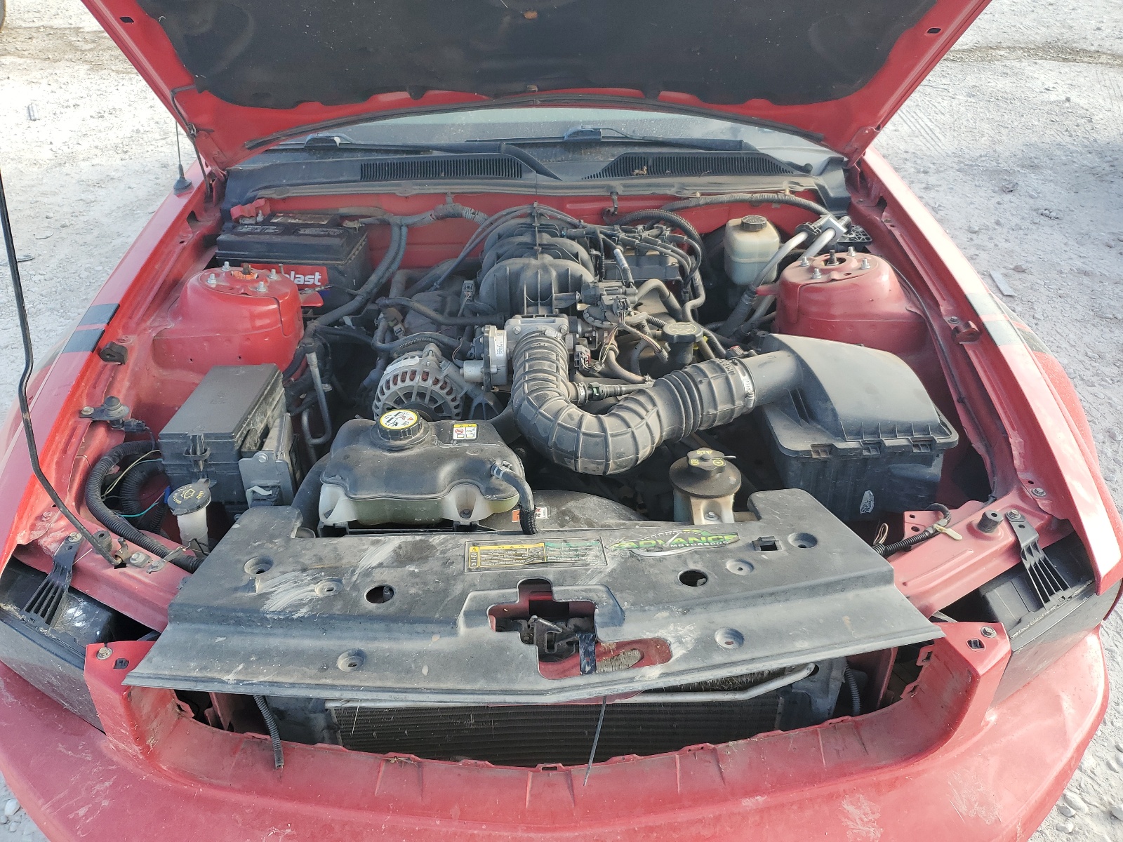 1ZVFT80N375246904 2007 Ford Mustang