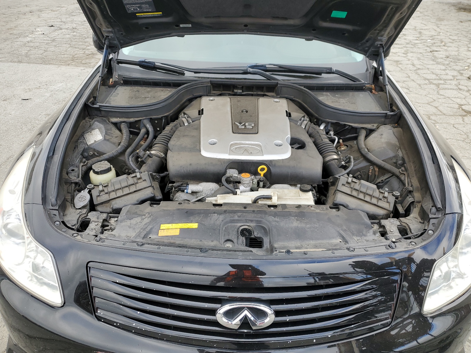 JNKBV61E28M200209 2008 Infiniti G35