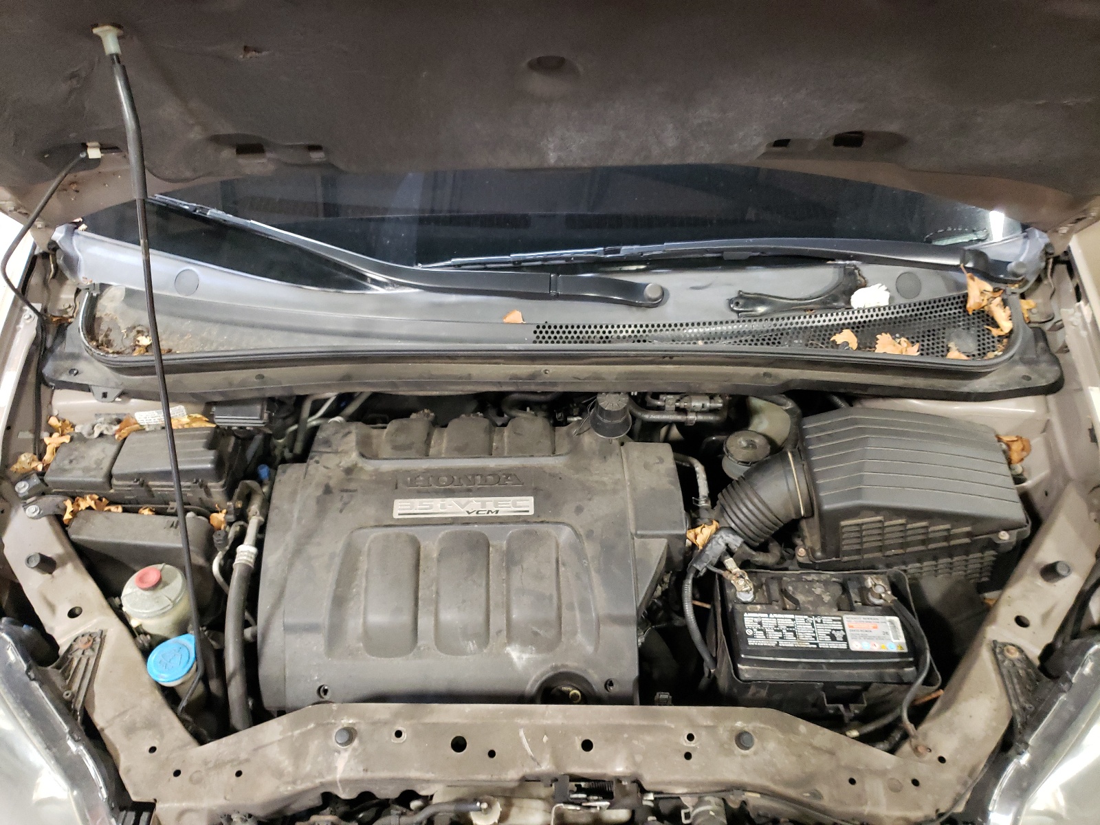 5FNRL38635B414553 2005 Honda Odyssey Exl