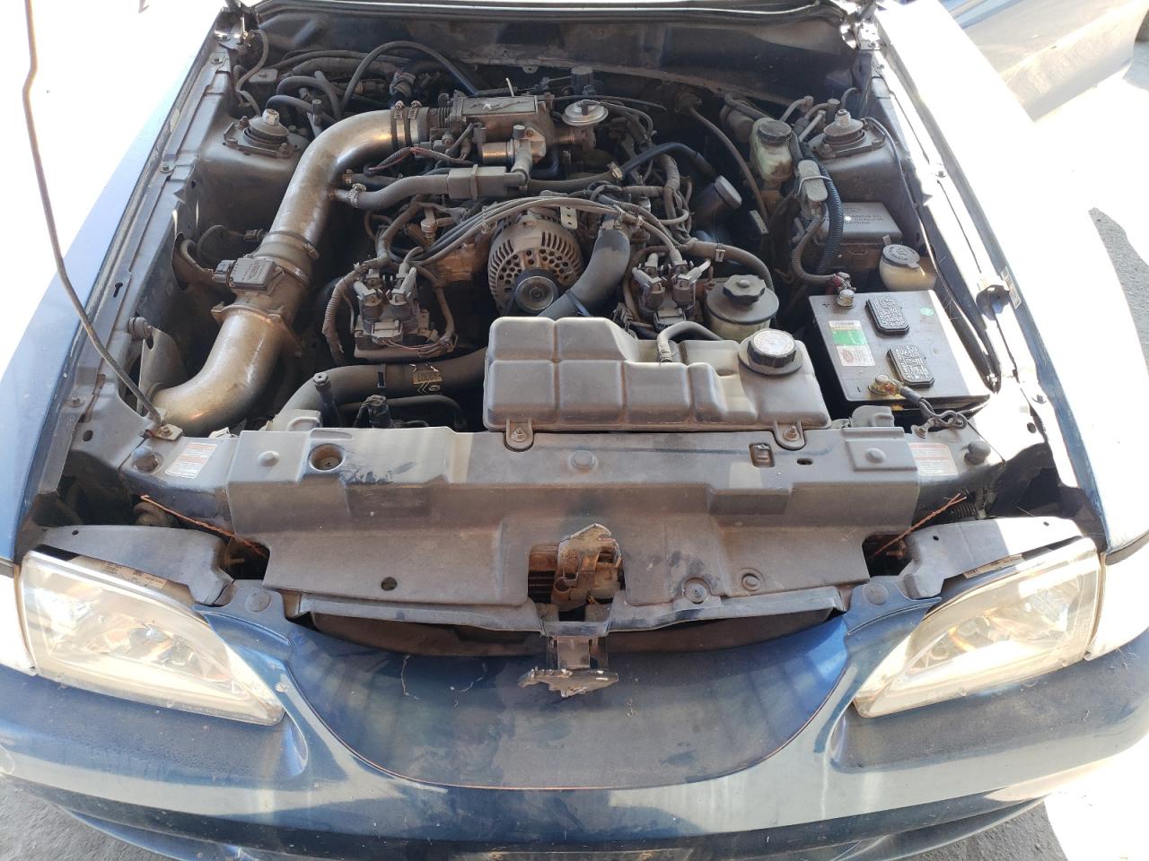 1998 Ford Mustang Gt VIN: 1FAFP42X8WF127663 Lot: 63668534