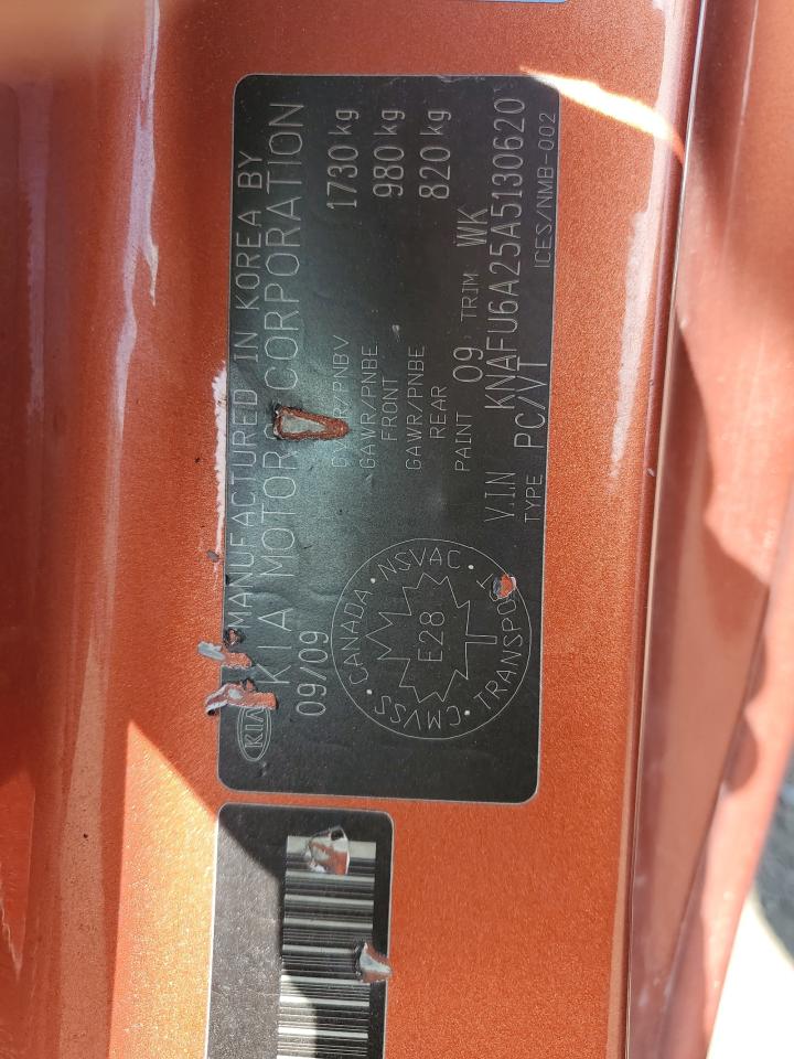 2010 Kia Forte Ex VIN: KNAFU6A25A5130620 Lot: 62081604