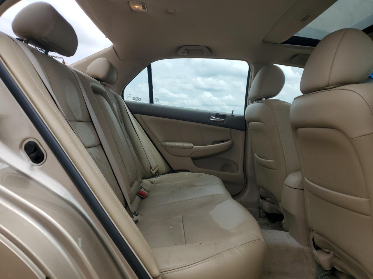 2006 Honda Accord Ex VIN: 1HGCM66516A023704 Lot: 64238204