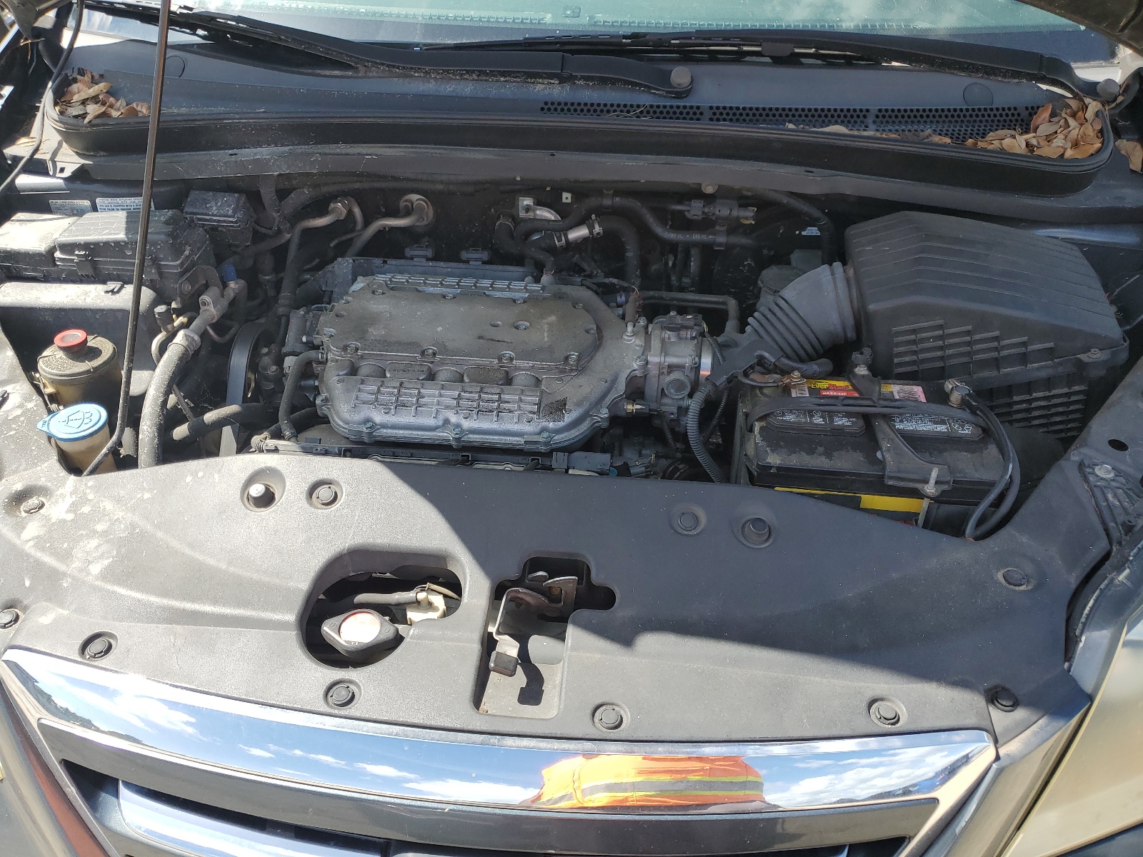 5FNRL38626B426498 2006 Honda Odyssey Exl