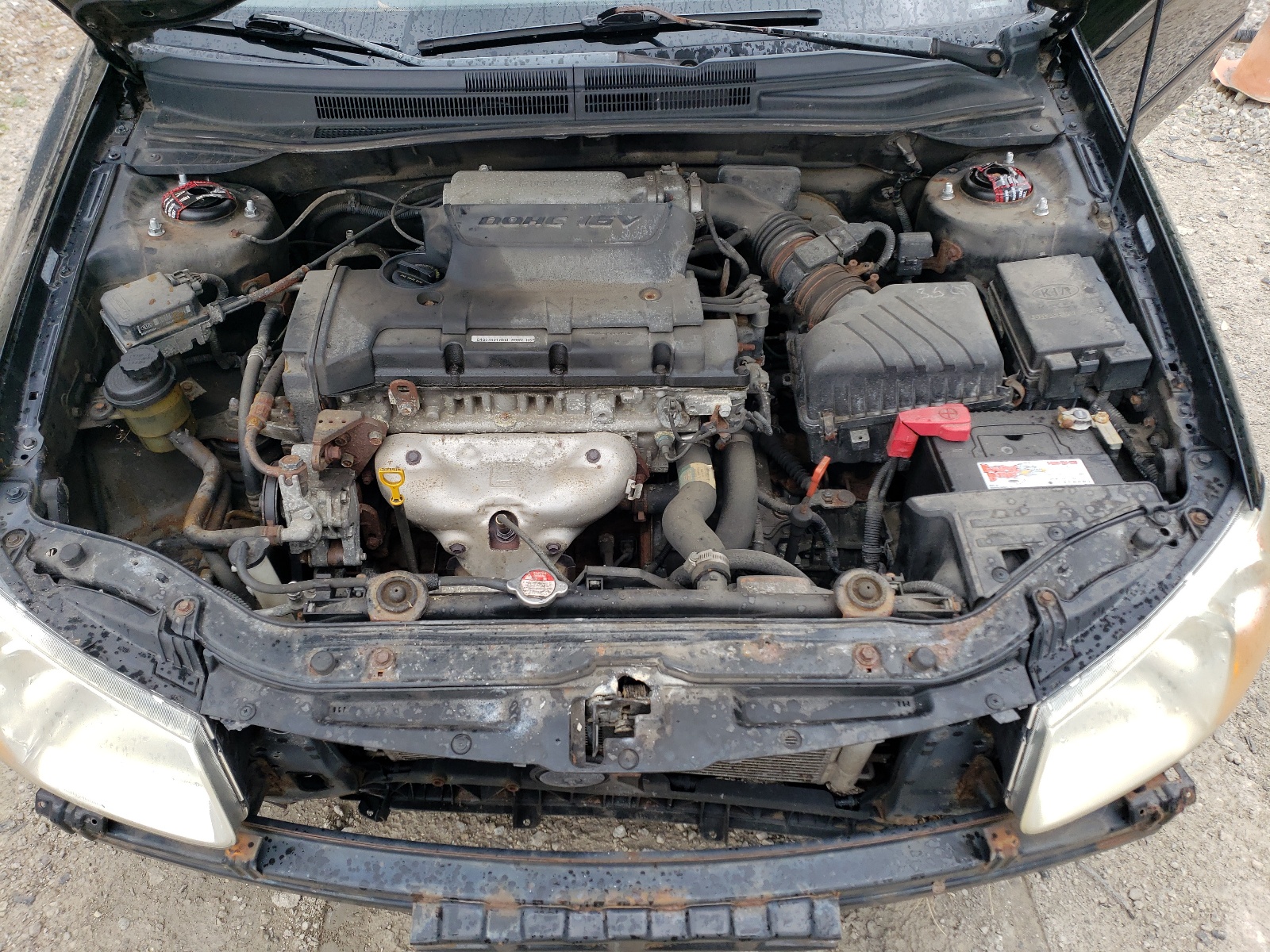 KNAFE121885531630 2008 Kia Spectra Ex