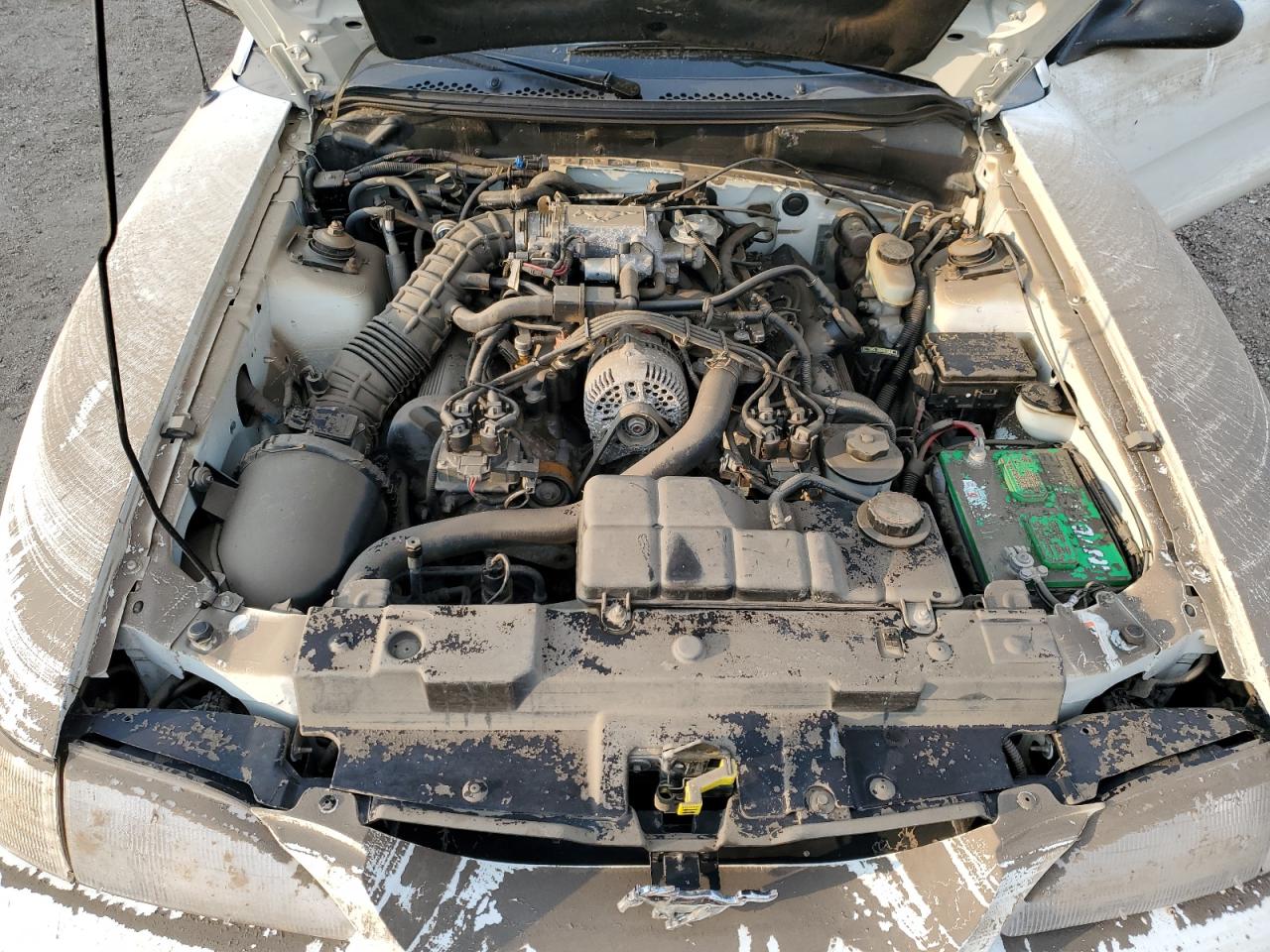 1998 Ford Mustang Gt VIN: 1FAFP45X5WF229823 Lot: 63882094