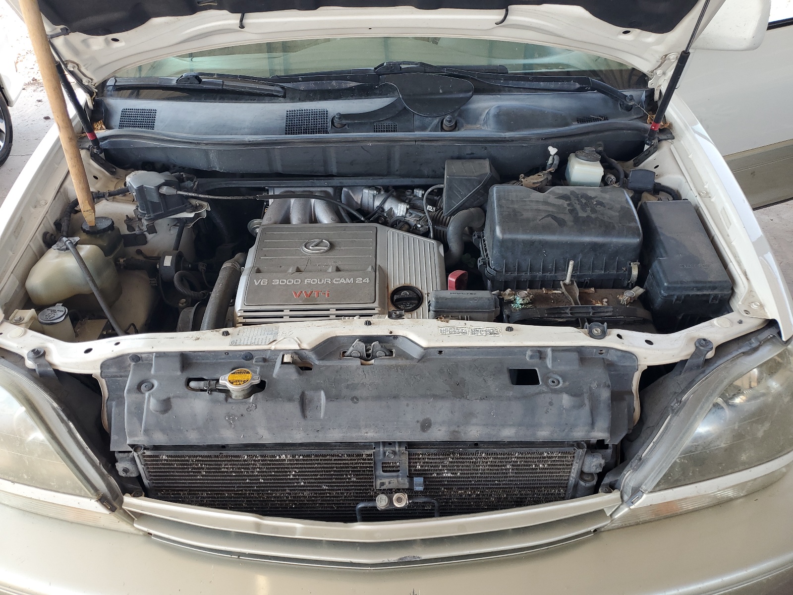 JT6HF10U3X0068403 1999 Lexus Rx 300