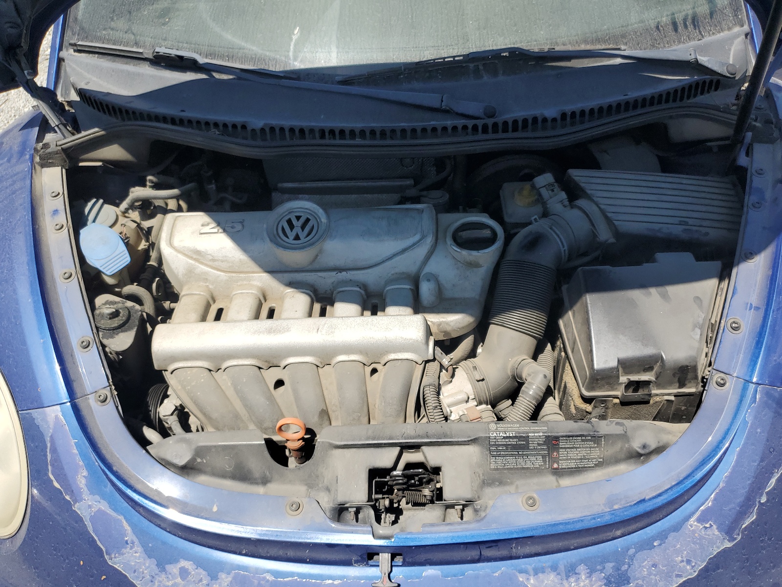 3VWRG31C68M525549 2008 Volkswagen New Beetle S