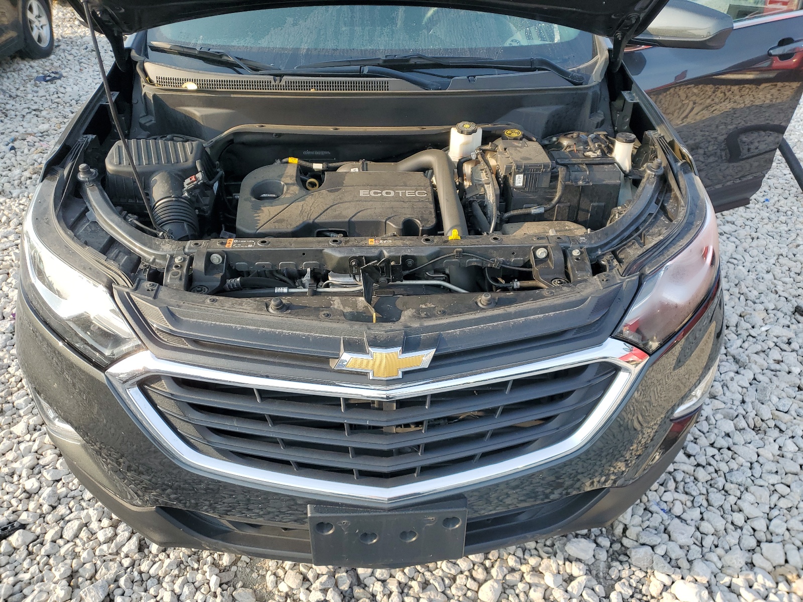 2GNAXKEV0K6183949 2019 Chevrolet Equinox Lt