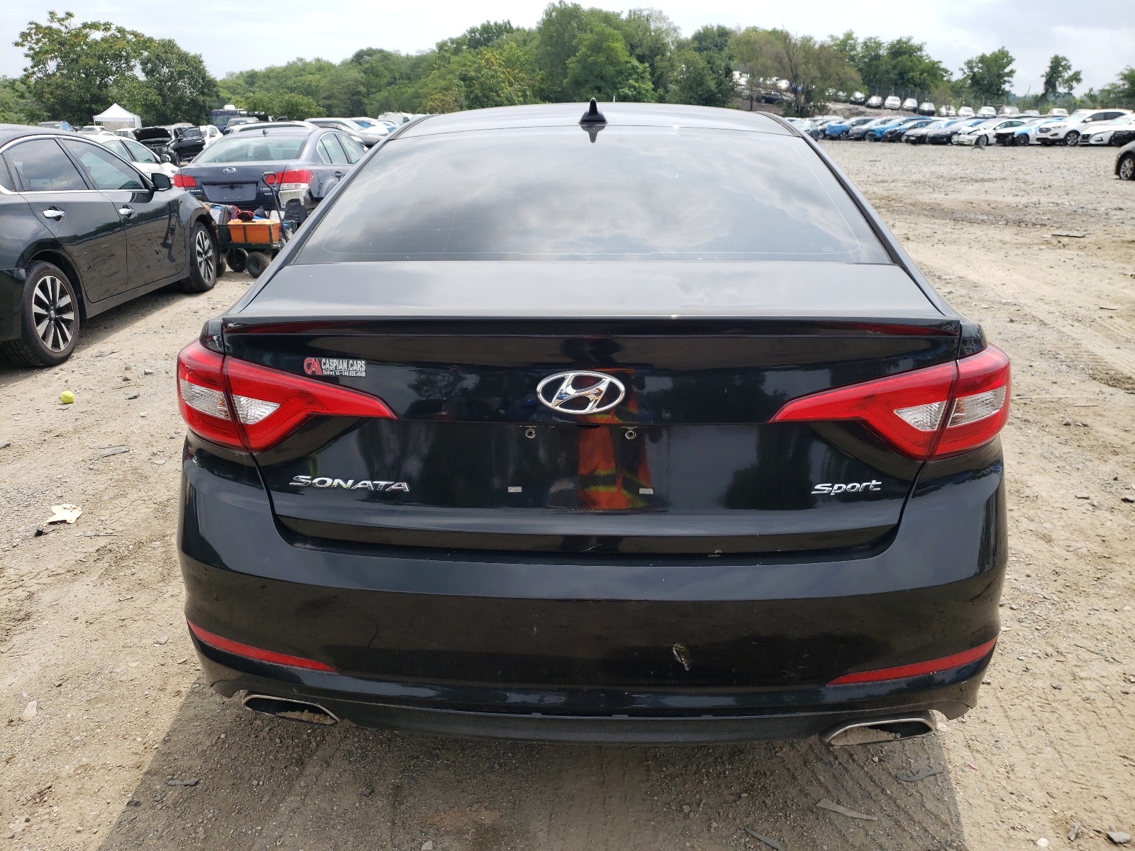 2015 Hyundai Sonata Sport vin: 5NPE34AF2FH236684