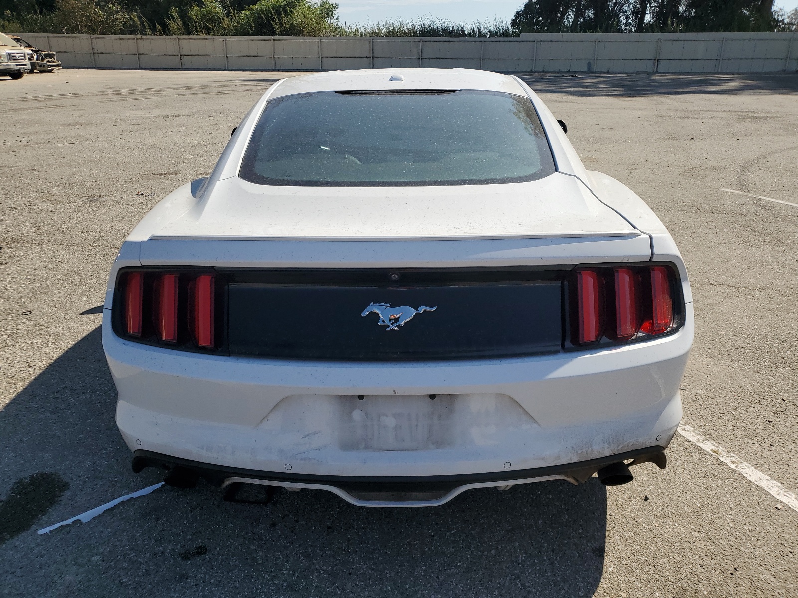 1FA6P8TH5H5336771 2017 Ford Mustang