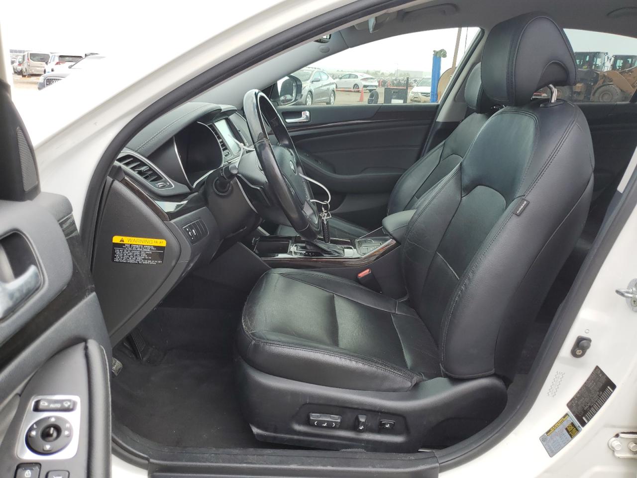 2014 Kia Cadenza Premium VIN: KNALN4D72E5166699 Lot: 64481244