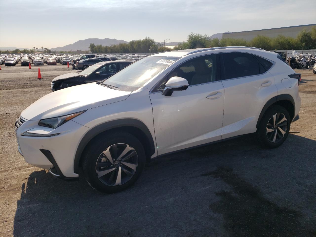 JTJGARBZ0M2200170 2021 LEXUS NX - Image 1