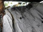 2024 Ram 2500 Tradesman for Sale in Lexington, KY - Burn - Interior