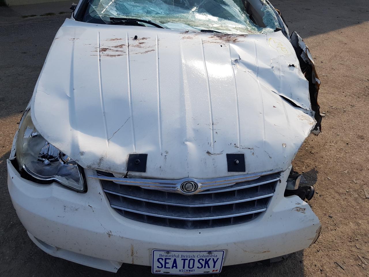 2008 Chrysler Sebring VIN: 1C3LC45K88N223850 Lot: 64235334