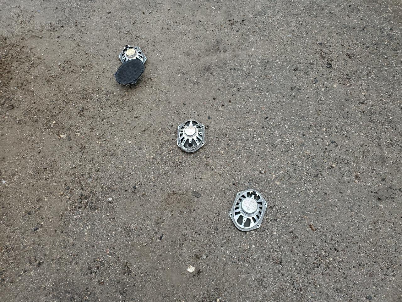 2009 Ford Mustang VIN: 1ZVHT84N395133699 Lot: 62850884