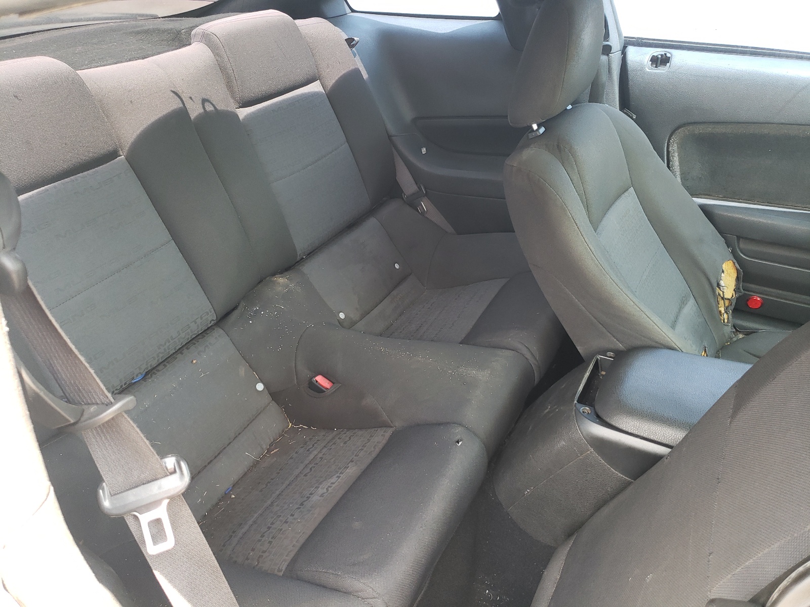 1ZVHT80N095124223 2009 Ford Mustang