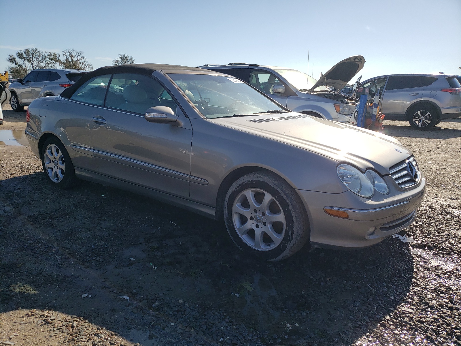 WDBTK65G94T024591 2004 Mercedes-Benz Clk 320