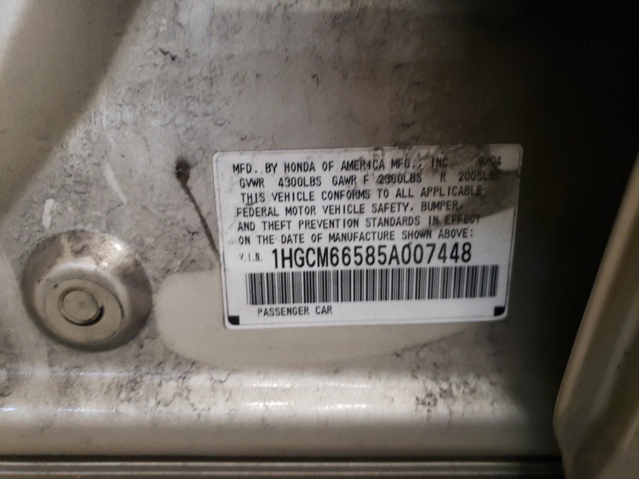 2005 Honda Accord Ex VIN: 1HGCM66585A007448 Lot: 64304144