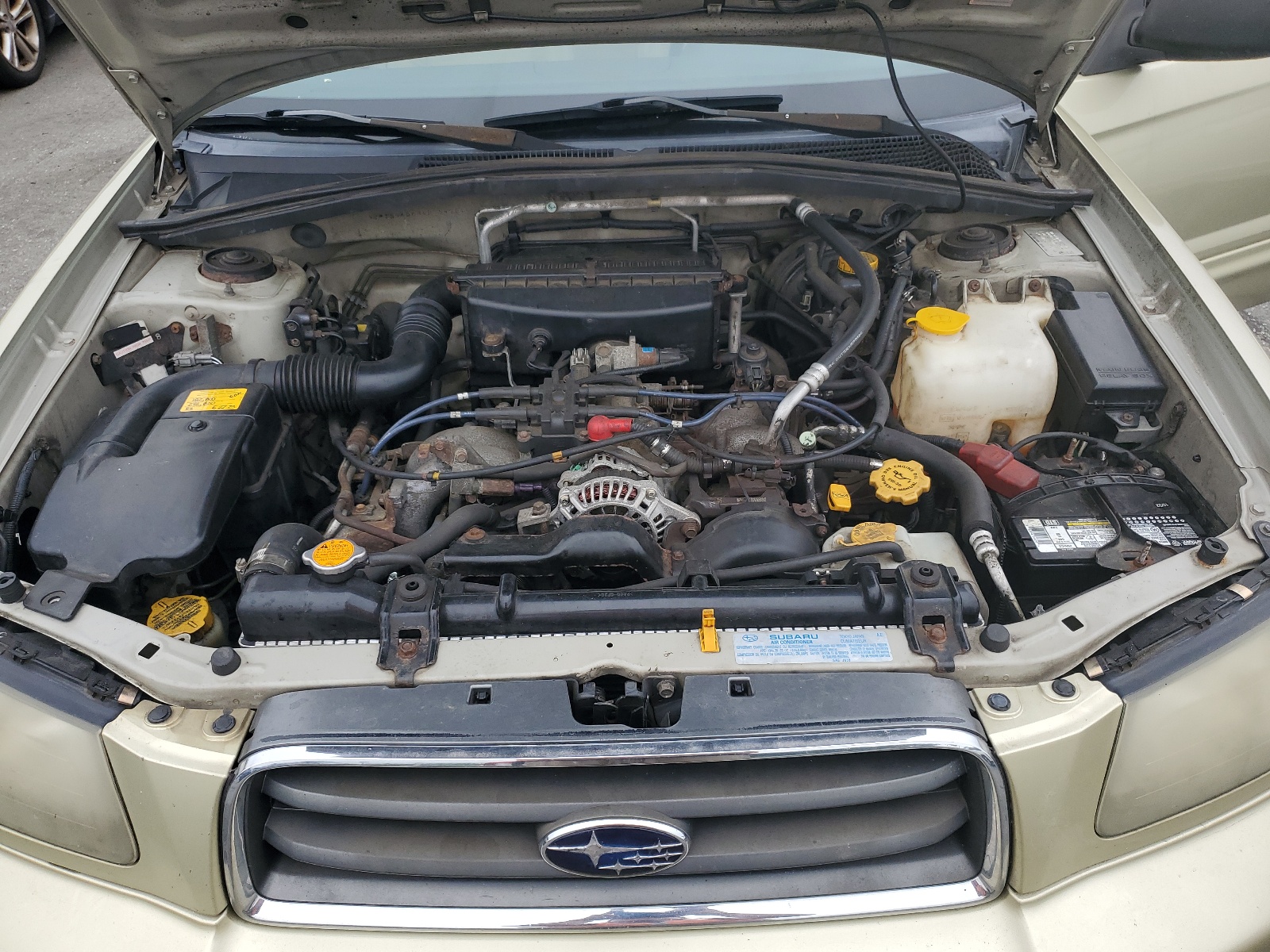 JF1SG65684H759724 2004 Subaru Forester 2.5Xs