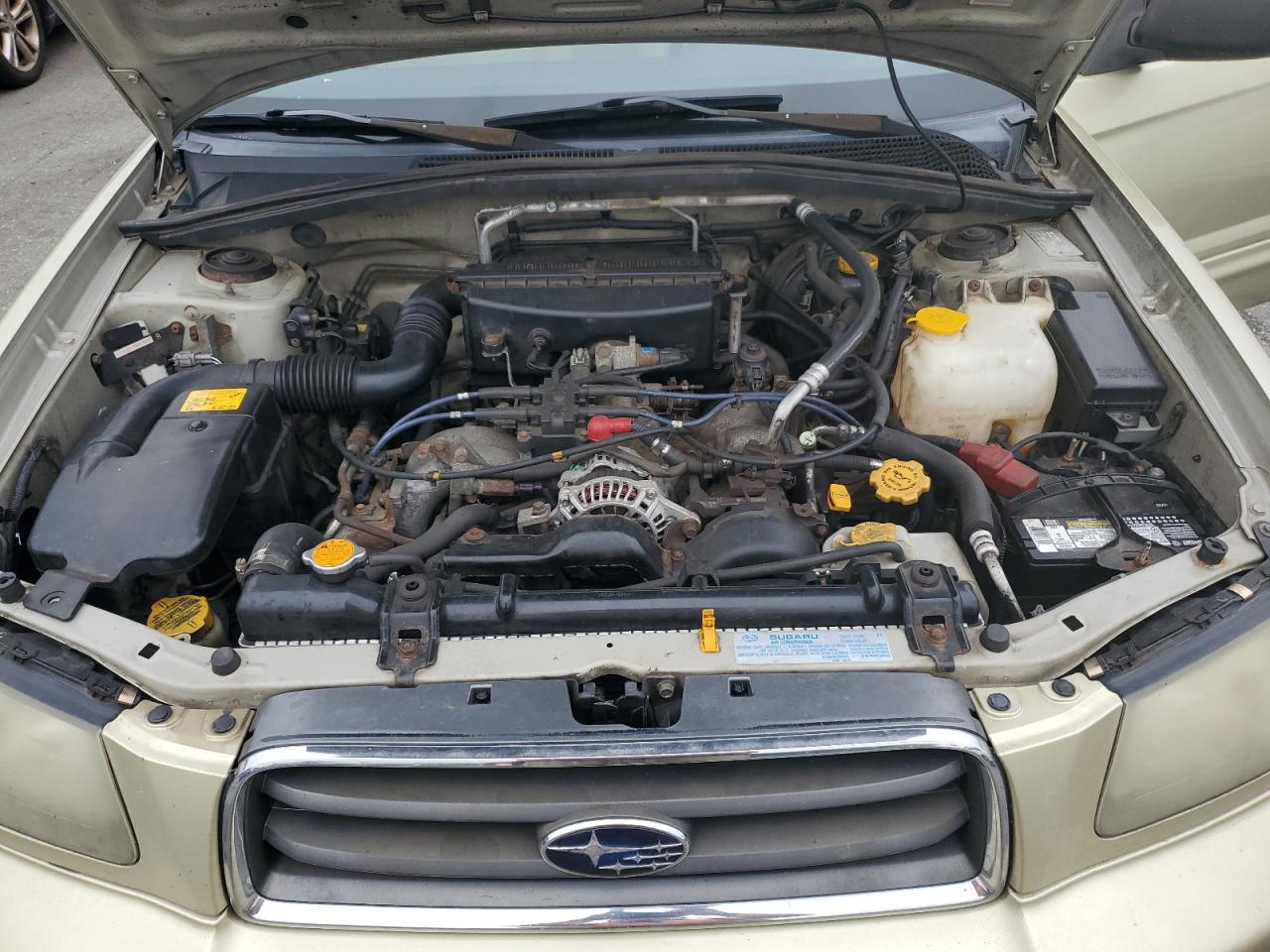 2004 Subaru Forester 2.5Xs VIN: JF1SG65684H759724 Lot: 61446104