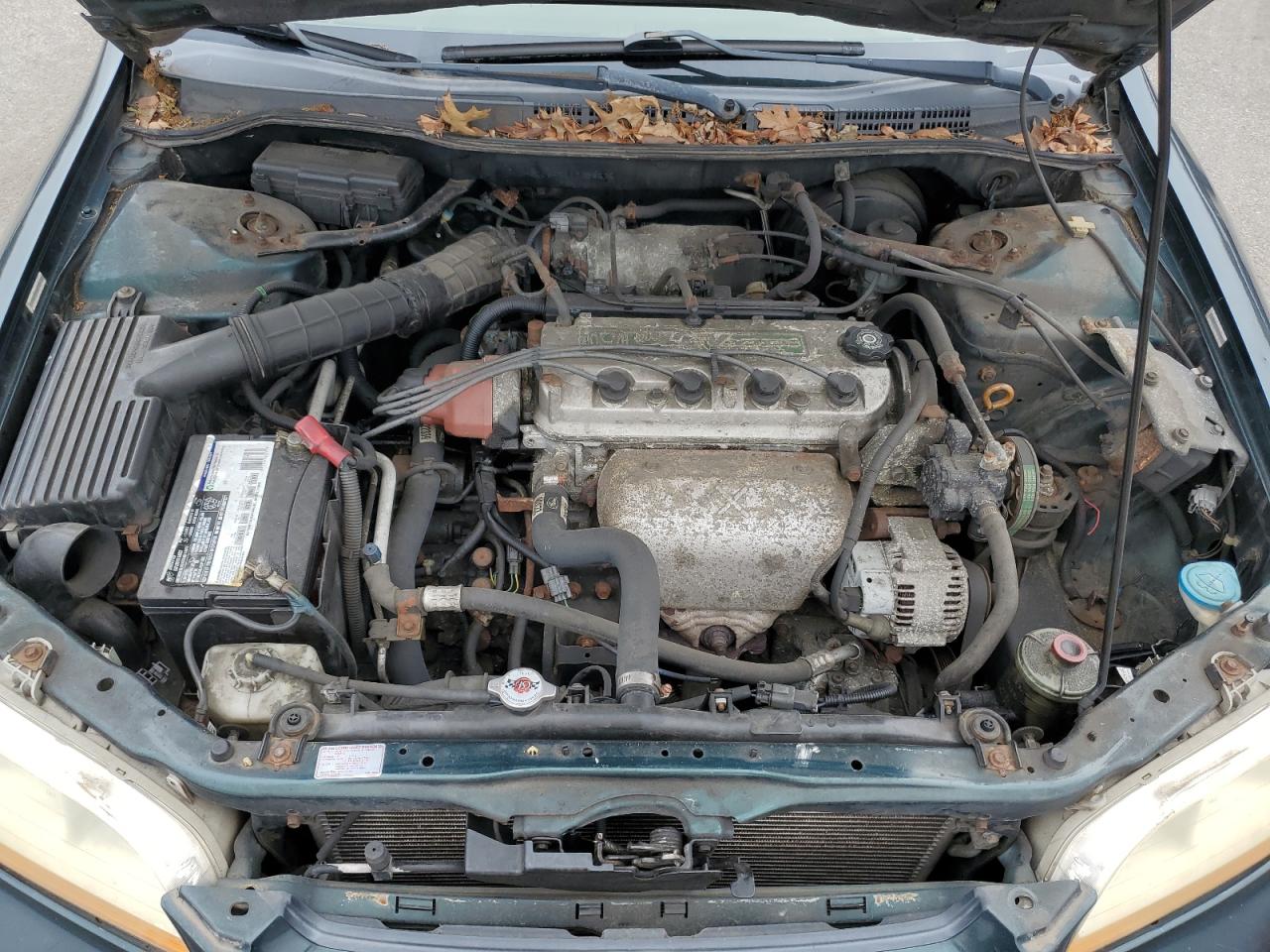 1999 Honda Accord Lx VIN: JHMCG6654XC004526 Lot: 64423094