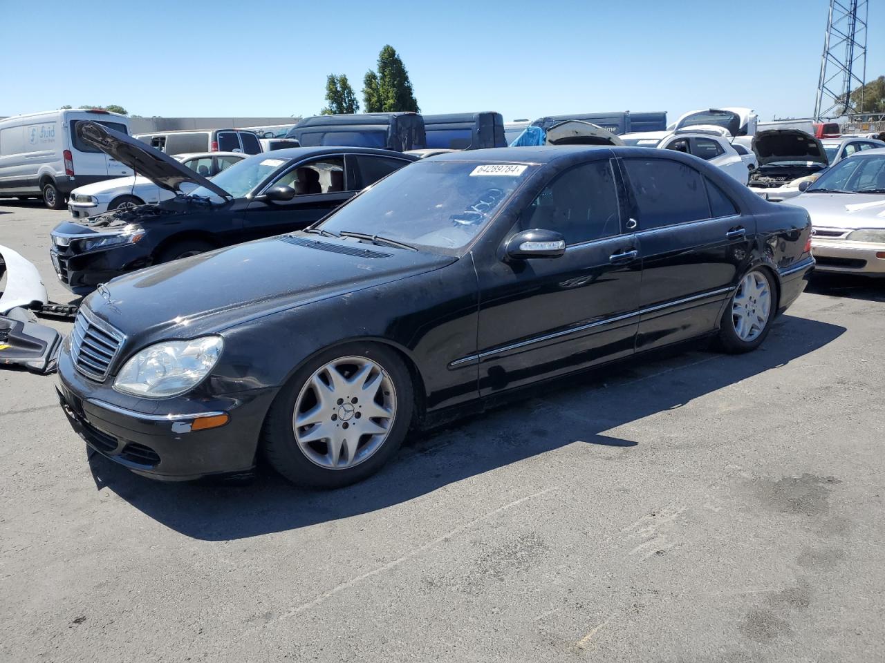 2003 Mercedes-Benz S 500 VIN: WDBNG75J13A317911 Lot: 64289784