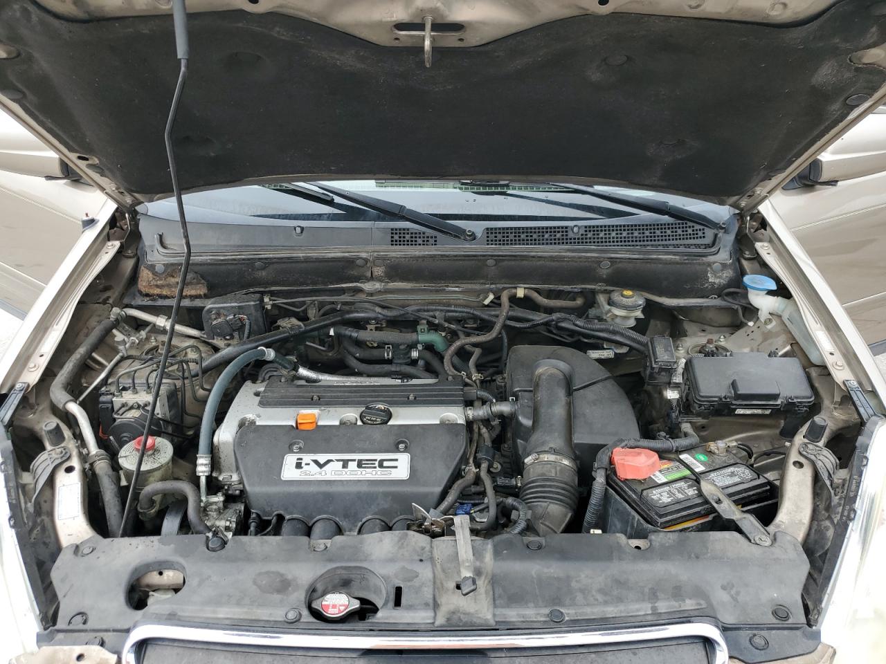 2006 Honda Cr-V Se VIN: SHSRD78996U442365 Lot: 64457814