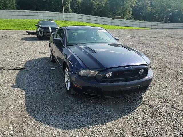 2010 Ford Mustang VIN: 1ZVBP8AN4A5105588 Lot: 65361404