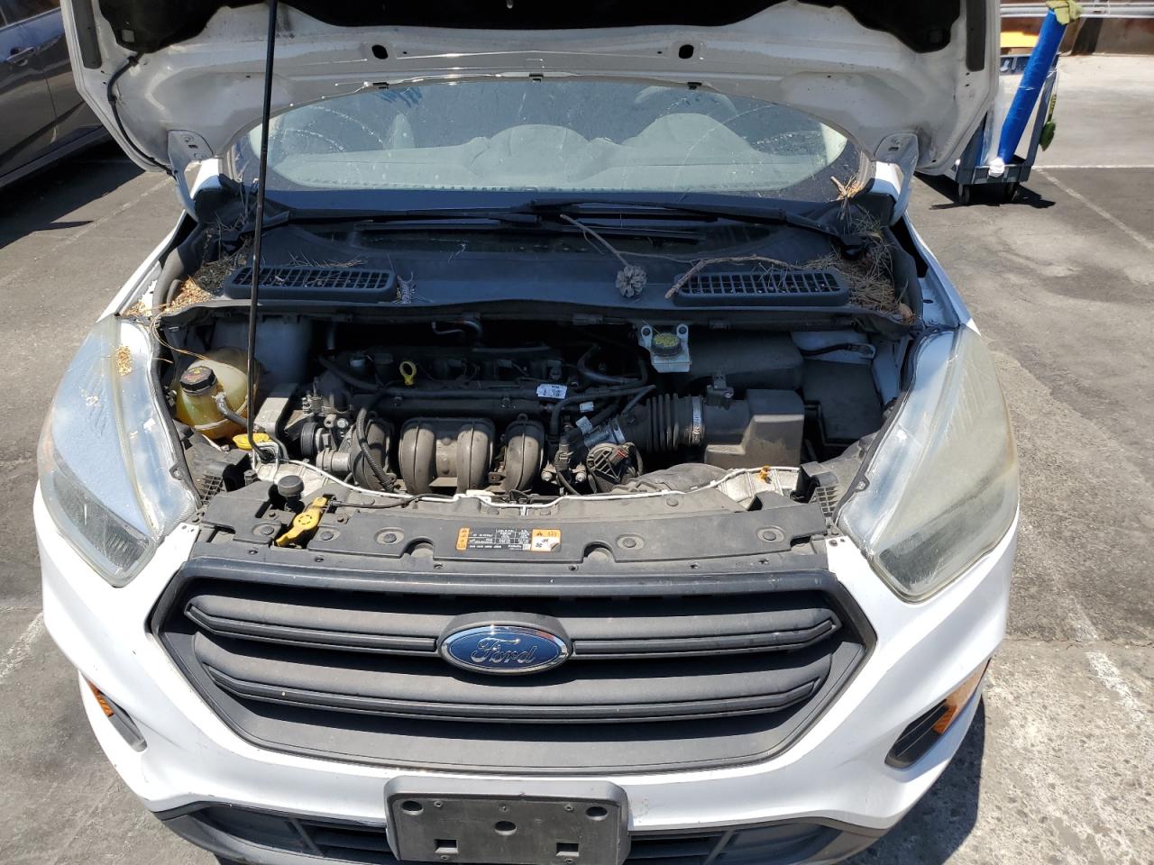 2017 Ford Escape S VIN: 1FMCU0F70HUE17771 Lot: 64392144