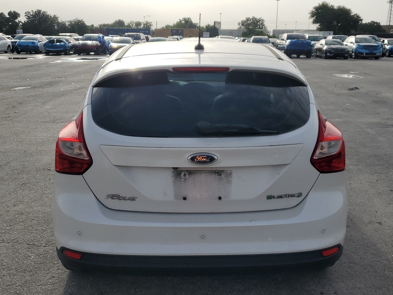 1FADP3R43DL196773 2013 Ford Focus Bev