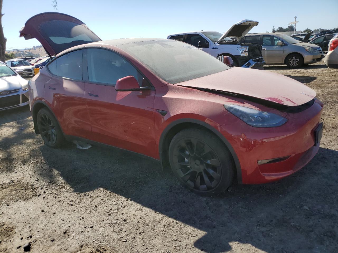 2022 Tesla Model Y VIN: 7SAYGDEE5NF555337 Lot: 63831714