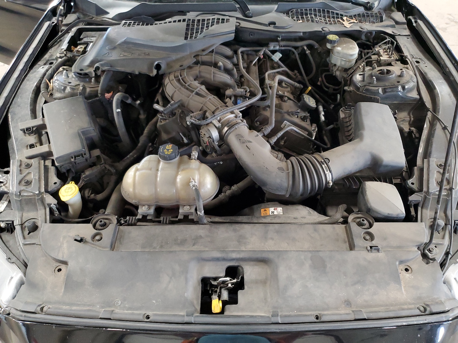 1FA6P8AM1H5305646 2017 Ford Mustang