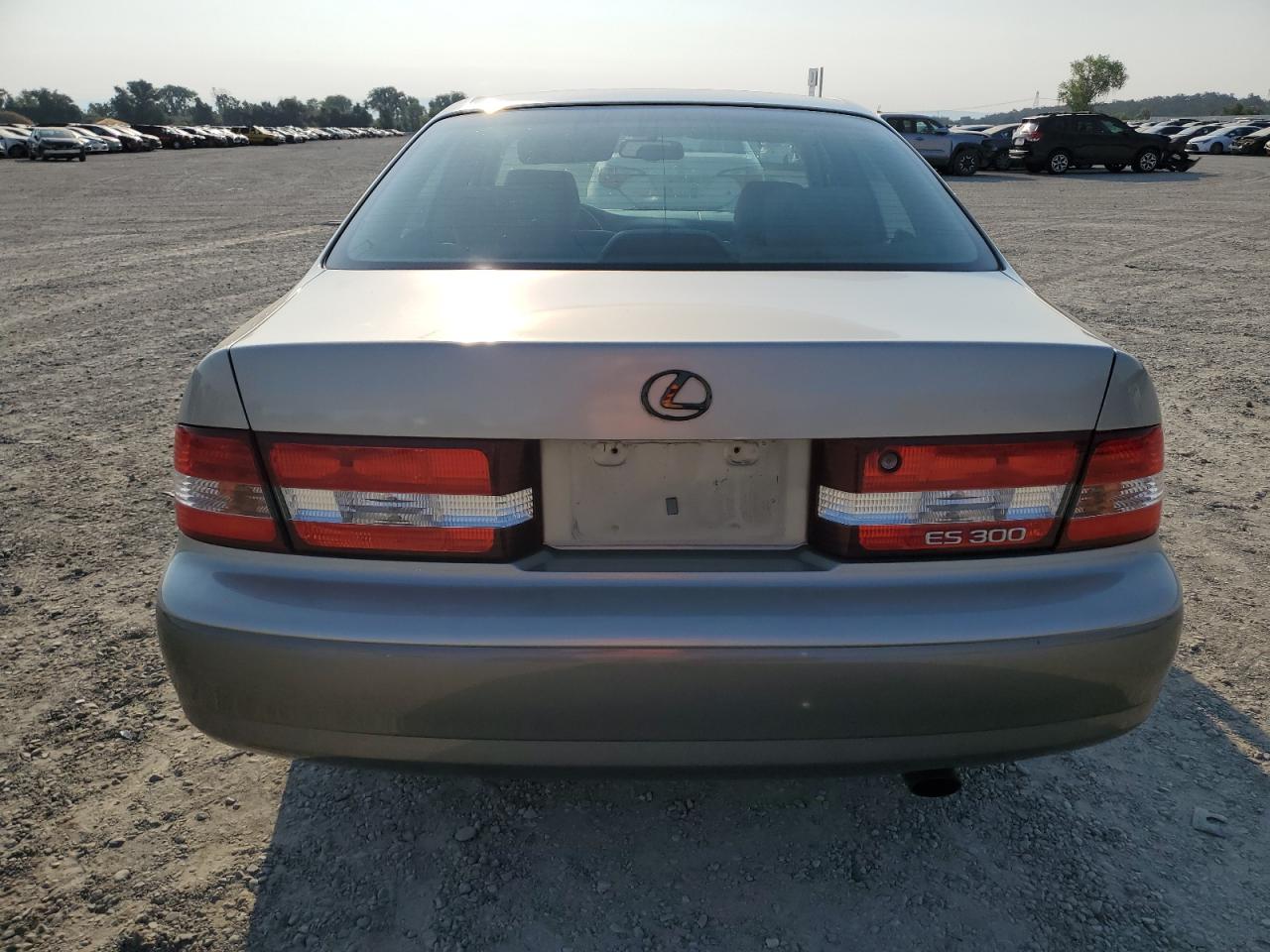 2001 Lexus Es 300 VIN: JT8BF28G910313035 Lot: 65138774