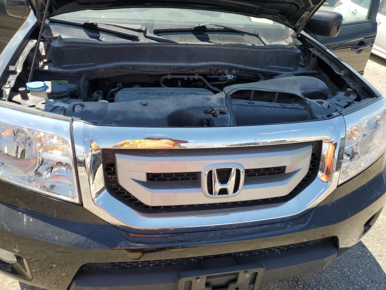 2009 Honda Pilot Exl VIN: 5FNYF48649B046205 Lot: 63454904