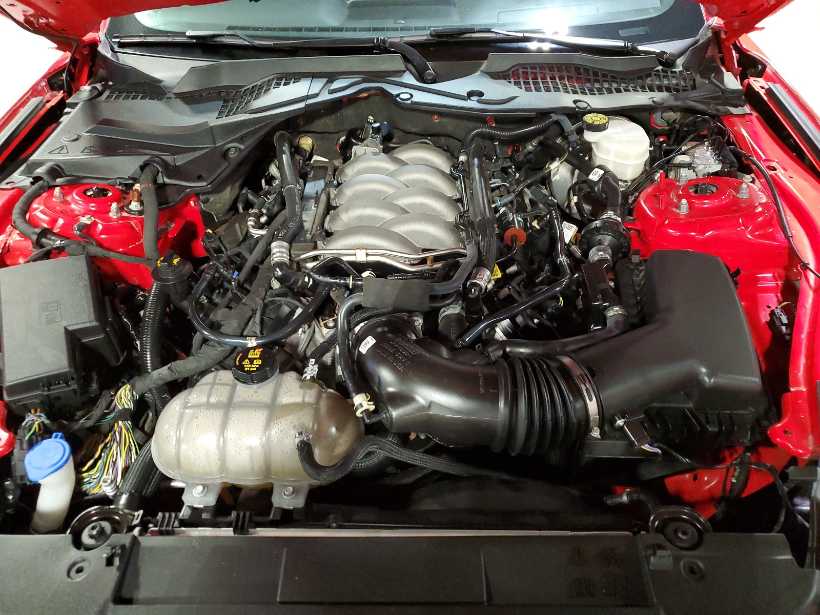 1FA6P8CF5N5142395 2022 Ford Mustang Gt