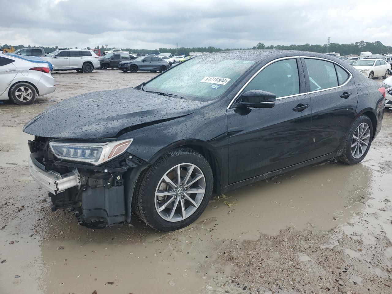 2020 Acura Tlx VIN: 19UUB1F33LA005406 Lot: 64710884