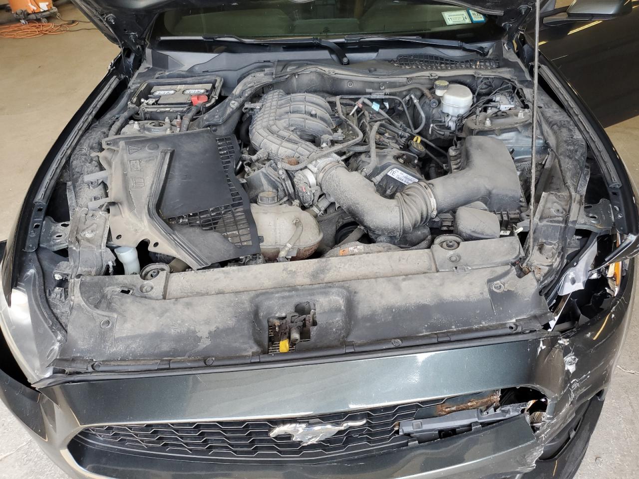 2015 Ford Mustang VIN: 1FA6P8AM0F5344483 Lot: 61619794