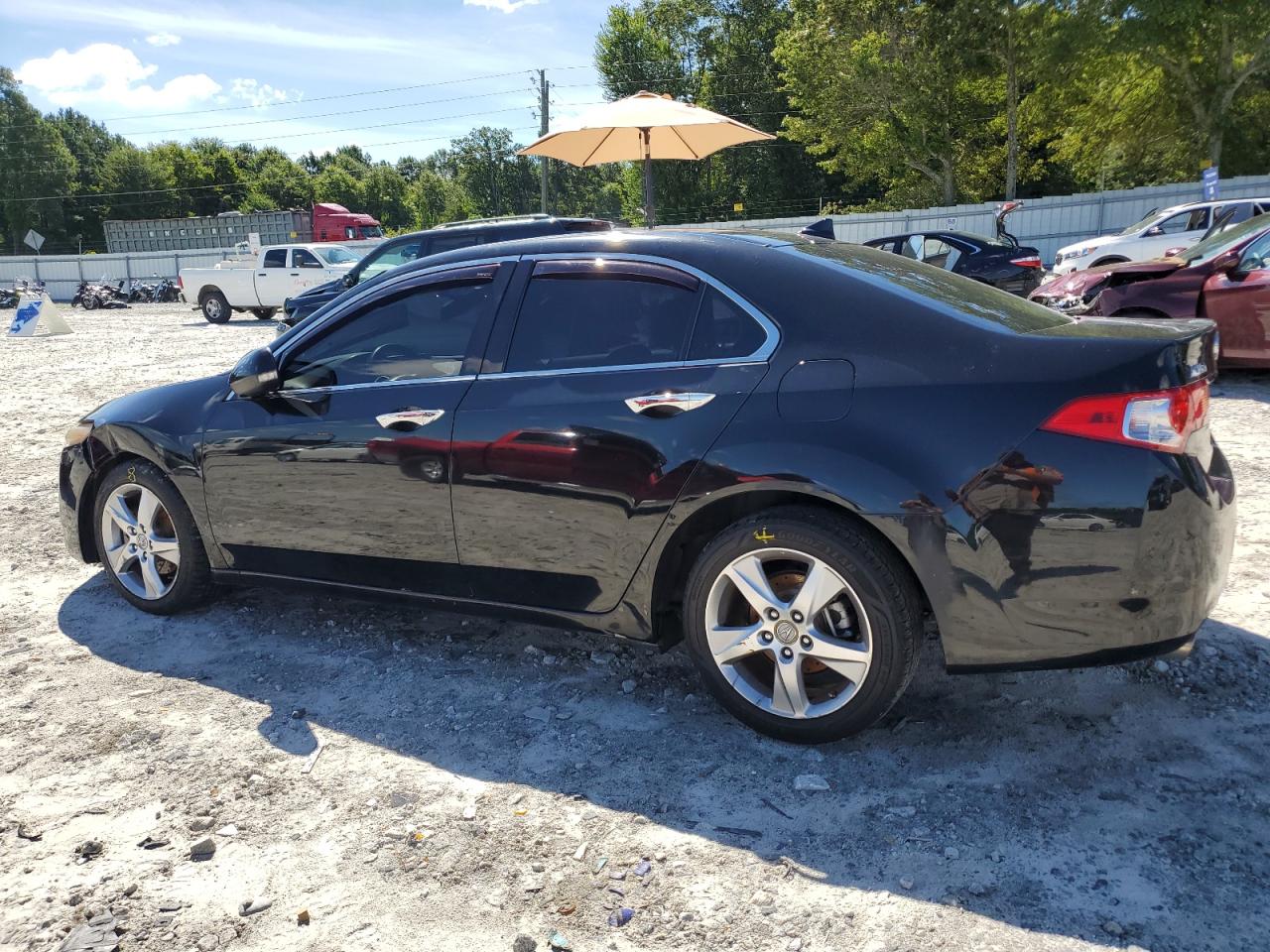 2011 Acura Tsx VIN: JH4CU2F66BC006524 Lot: 62476634