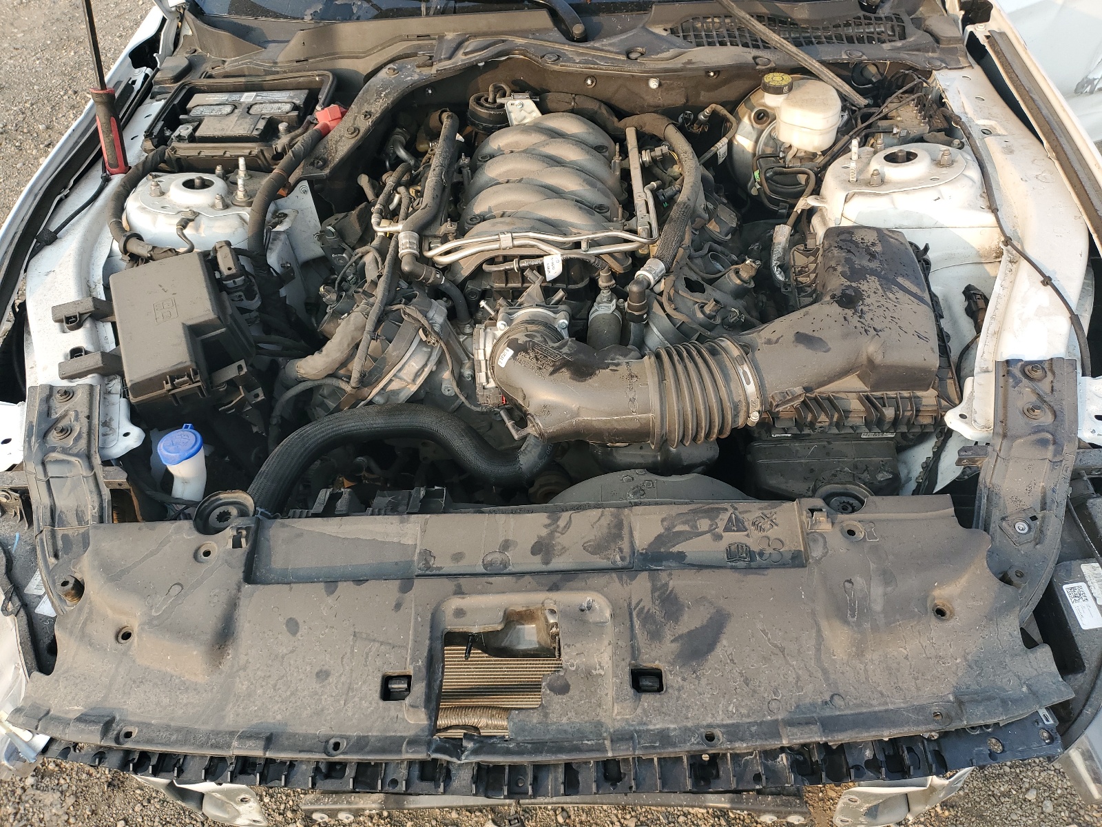 1FA6P8CF9P5307190 2023 Ford Mustang Gt