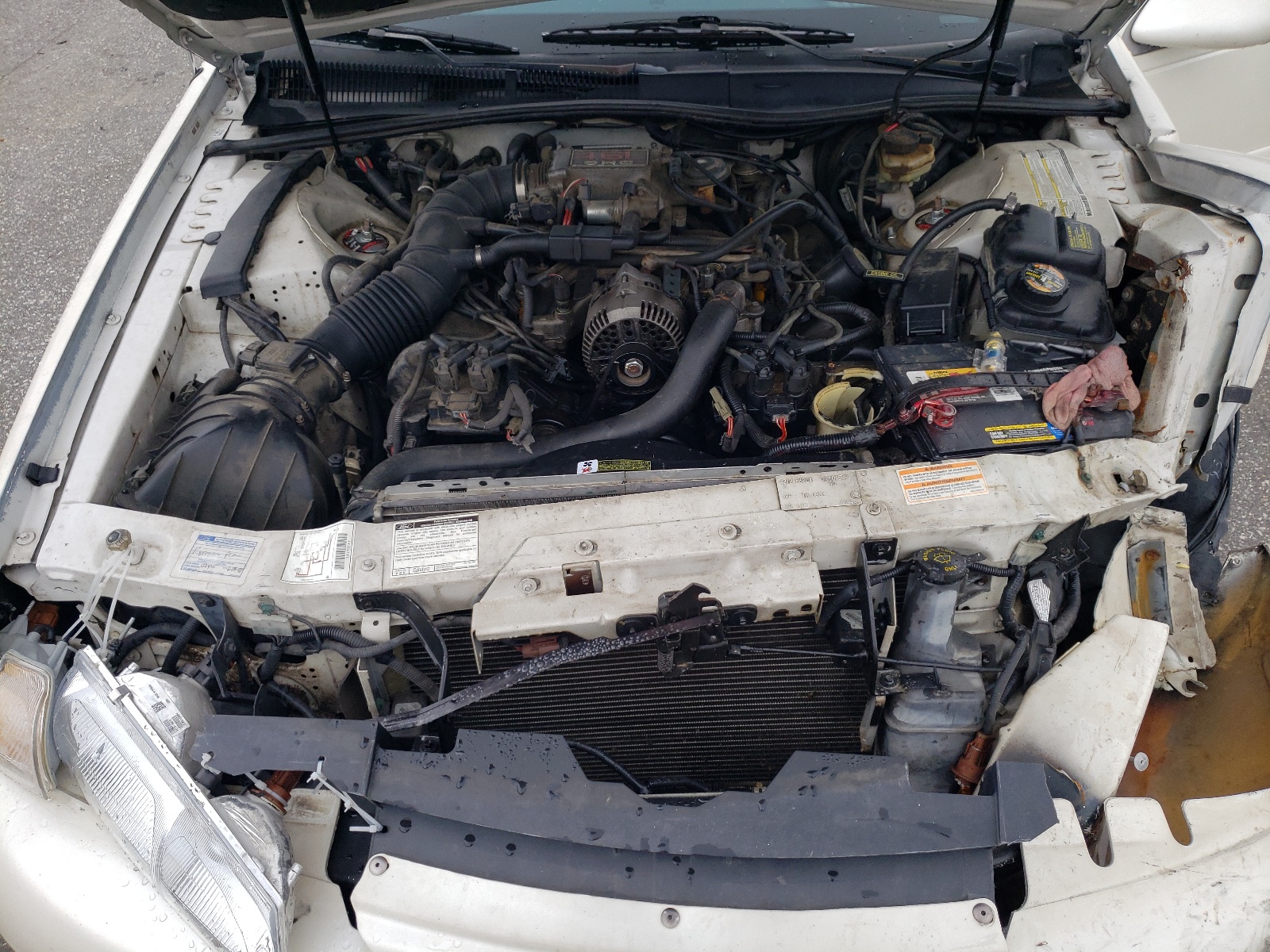 1FALP62W4TH101549 1996 Ford Thunderbird Lx