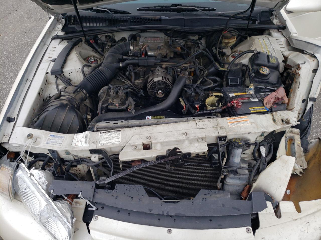 1996 Ford Thunderbird Lx VIN: 1FALP62W4TH101549 Lot: 64828684