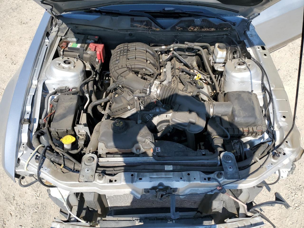 2011 Ford Mustang VIN: 1ZVBP8AM0B5122977 Lot: 64019924