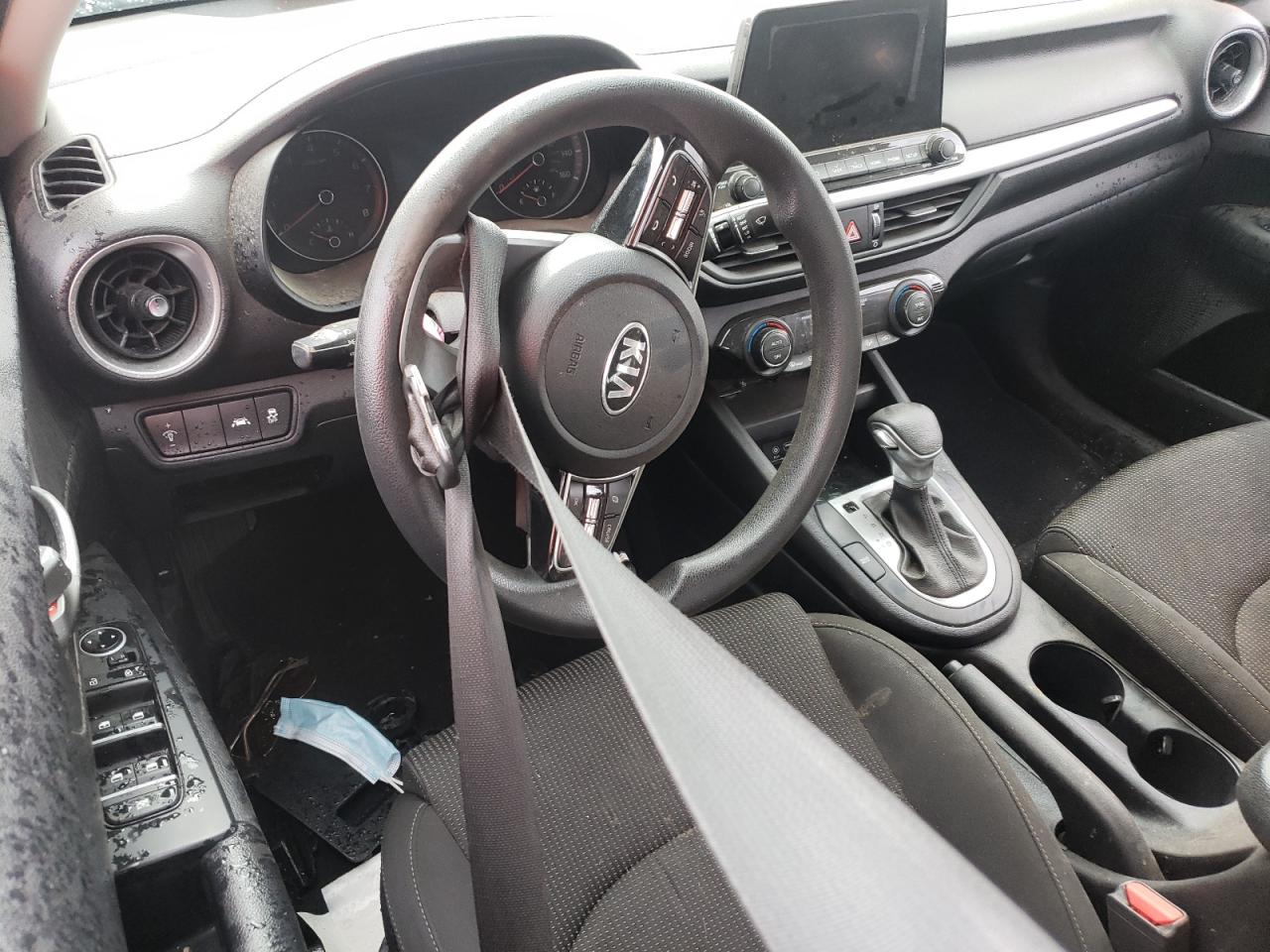 2019 Kia Forte Fe VIN: 3KPF24ADXKE085100 Lot: 64244794