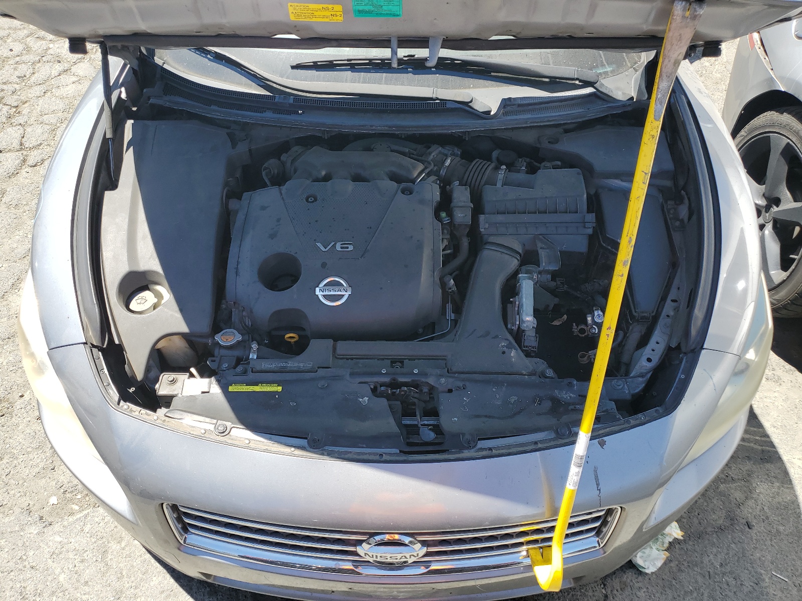 1N4AA51E49C838526 2009 Nissan Maxima S