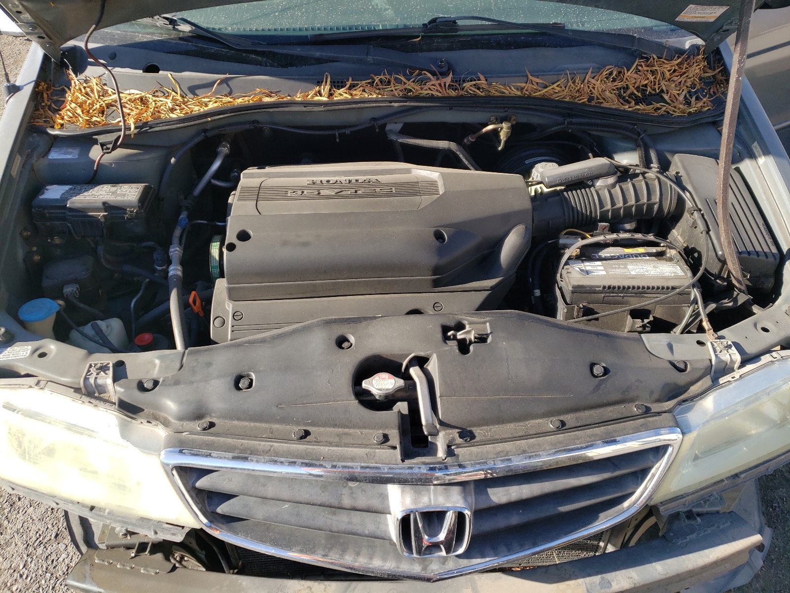 5FNRL18572B027009 2002 Honda Odyssey Lx