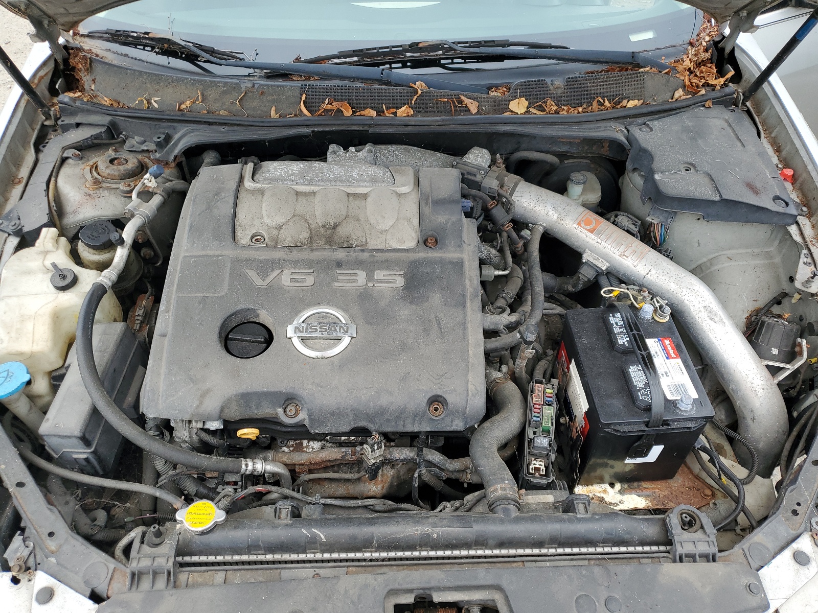 1N4BA41EX4C856567 2004 Nissan Maxima Se