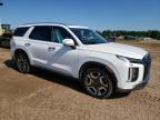 2023 Hyundai Palisade Sel Premium   на продаже в Kincheloe, MI - Rear End